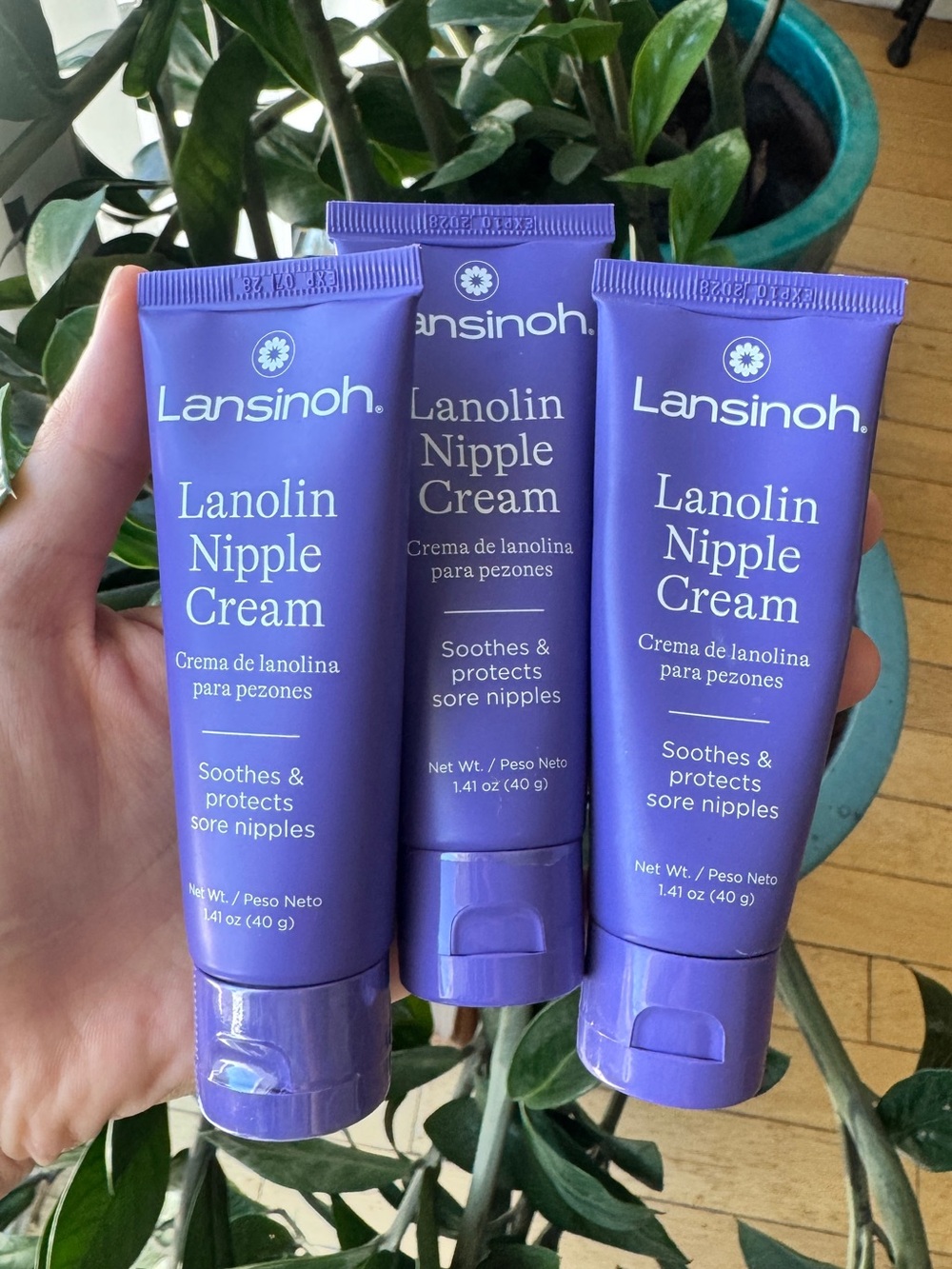 Lansinoh Lanolin Nipple Cream, 3 tubes